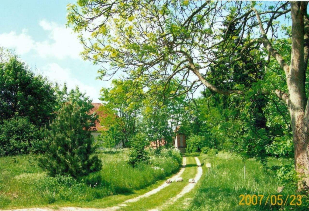 Gutshaus Alt-Jargenow Apartment Alt Jargenow Bagian luar foto